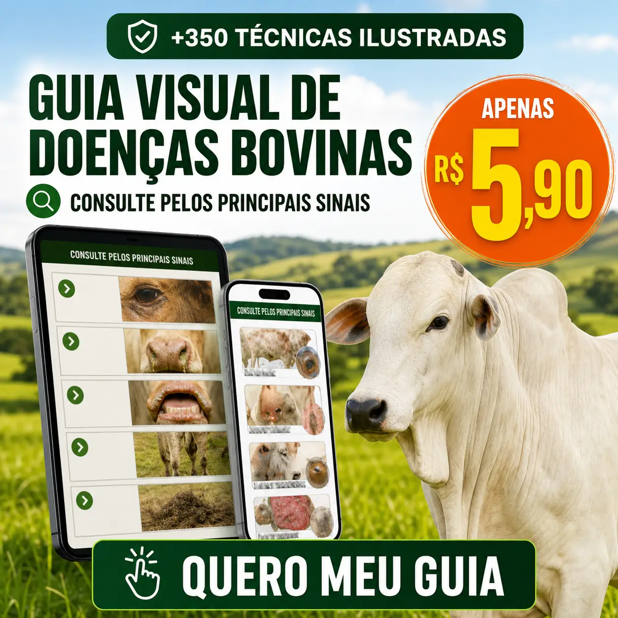 Guia de Primeiros Socorros para Bovinos
